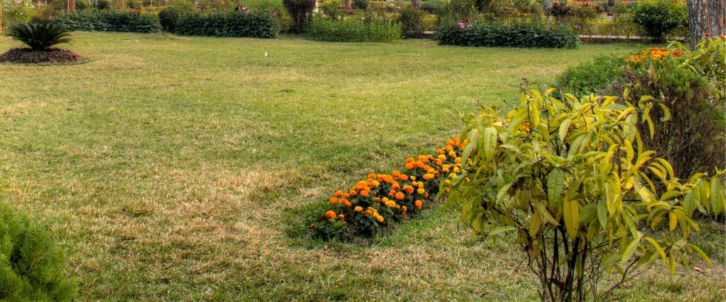 Diseño y naturaleza casas en venta en Zibatá, Querétaro